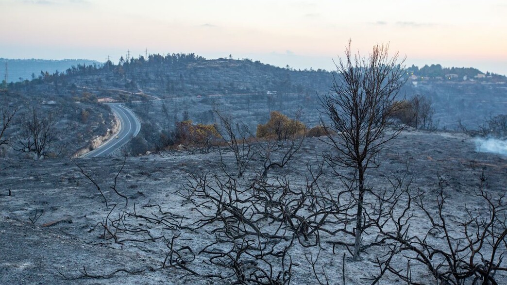 משבר האקלים