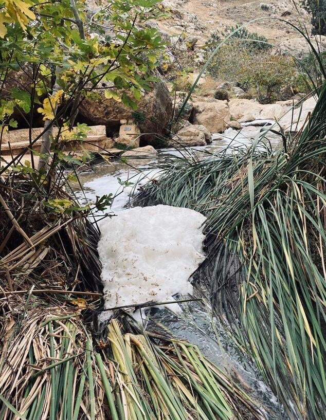זיהום בנחל פרת (צילום: עידו גייר)