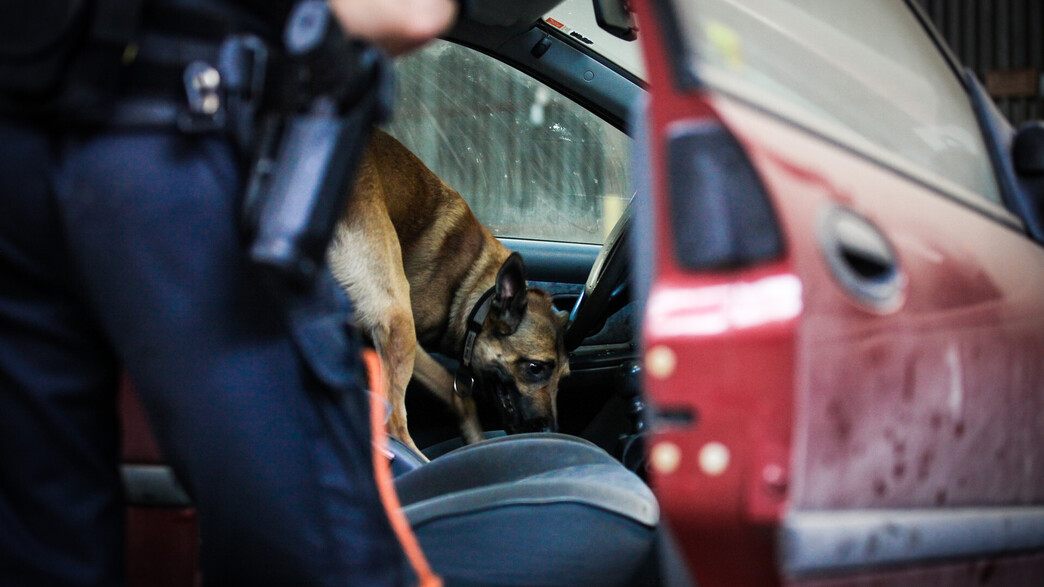 חיפוש משטרתי ברכב (צילום: Mike Hillingseter, shutterstock)