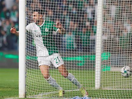 דוד דחק את השני (אלן שיבר)