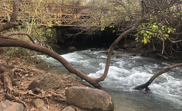 הבניאס בטיול ריינג'רים (צילום: שרון גולן מאירי)