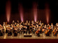 מה הלוז- 11.1- קלאסי-לילה באופרה-מקהלת מעיין-תזמורת האופרה הקאמרית (צילום: מארק ז'לקובסקי, יחצ)