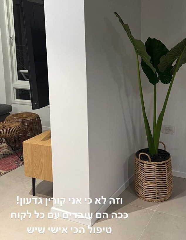 מציצים באינסטוש, קורין גדעון (צילום: corringideon, instagram)