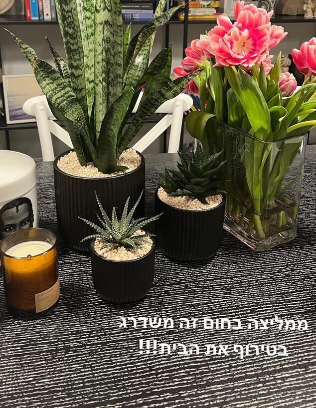 מציצים באינסטוש, קורין גדעון (צילום: corringideon, instagram)