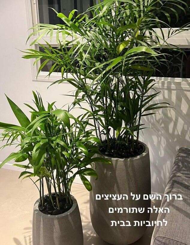 מציצים באינסטוש, קורין גדעון (צילום: corringideon, instagram)