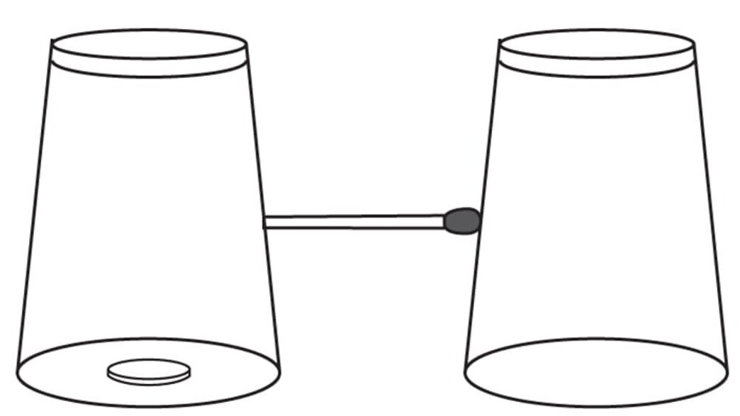 חידת הכוסות חידת הכוסות