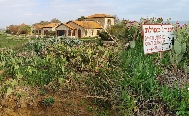 סכנת קריסה- צוק החוף בישראל (צילום: אלבטרוס)
