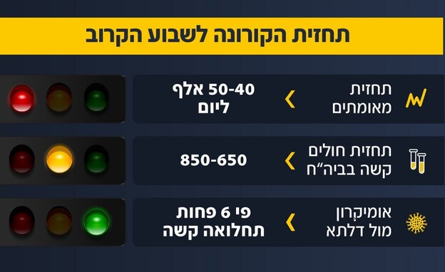 תחזית הקורונה: שיא גל התחלואה יגיע השבוע (צילום: N12)