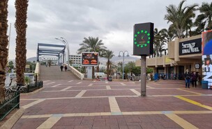 אילת ריקה  (צילום: אפרת נומברג יונגר)