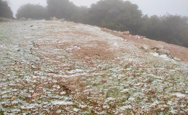 שלג ראשון בהר מירון (צילום: שי מסיקה וארז דגן)
