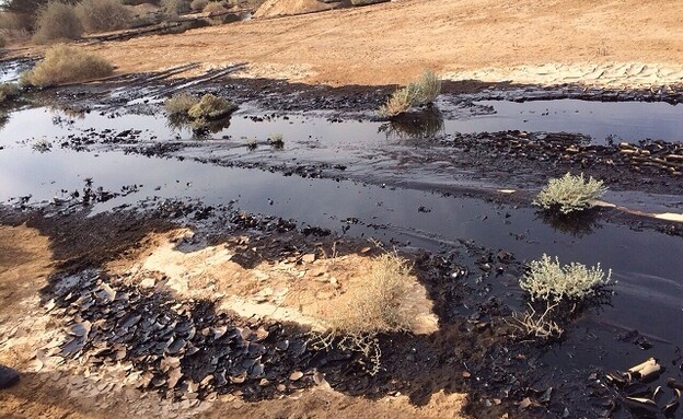 אסון זיהום הנפט בשמורת עברונה קצא"א (צילום: Nature and Parks Authority)