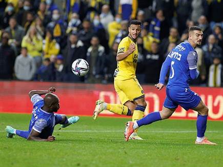 אלמוג. צפוי להישאר (אלן שיבר)