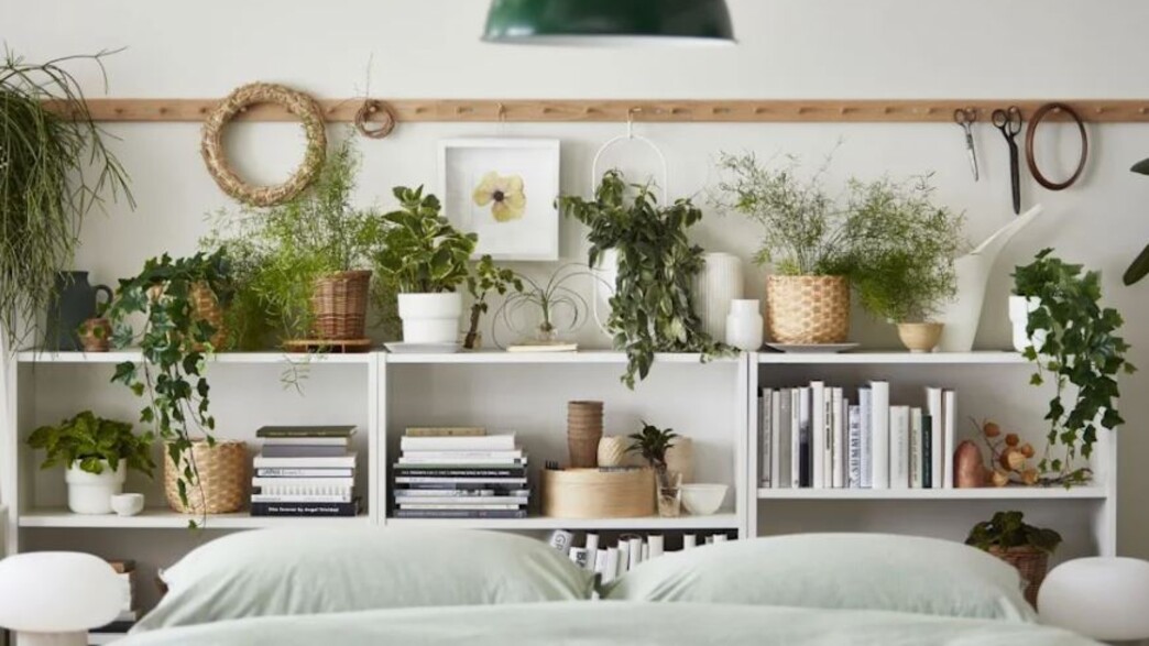 איקאה קיץ 2022, איקאה קיץ 2022,