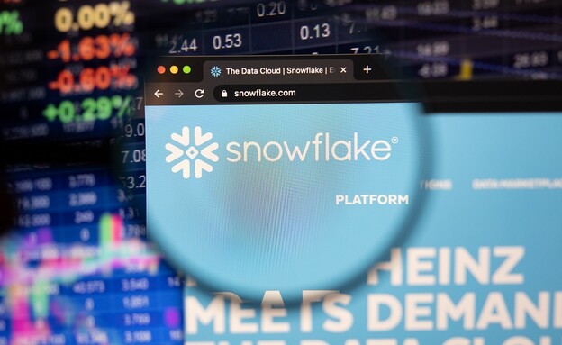 Snowflake (צילום: Dennis Diatel, shutterstock)