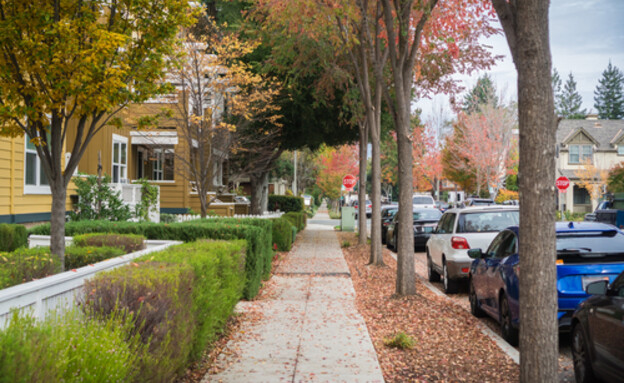 פאלו אלטו רחוב מגורים Palo Alto Street (צילום: שאטרסטוק)
