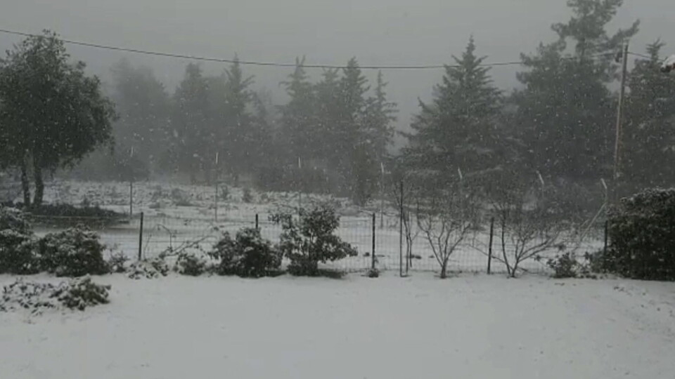 קיבוץ אל רום- שלג (צילום: עדי פיאדה)