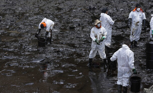 זיהום נפט בחופי פרו (צילום: AP)