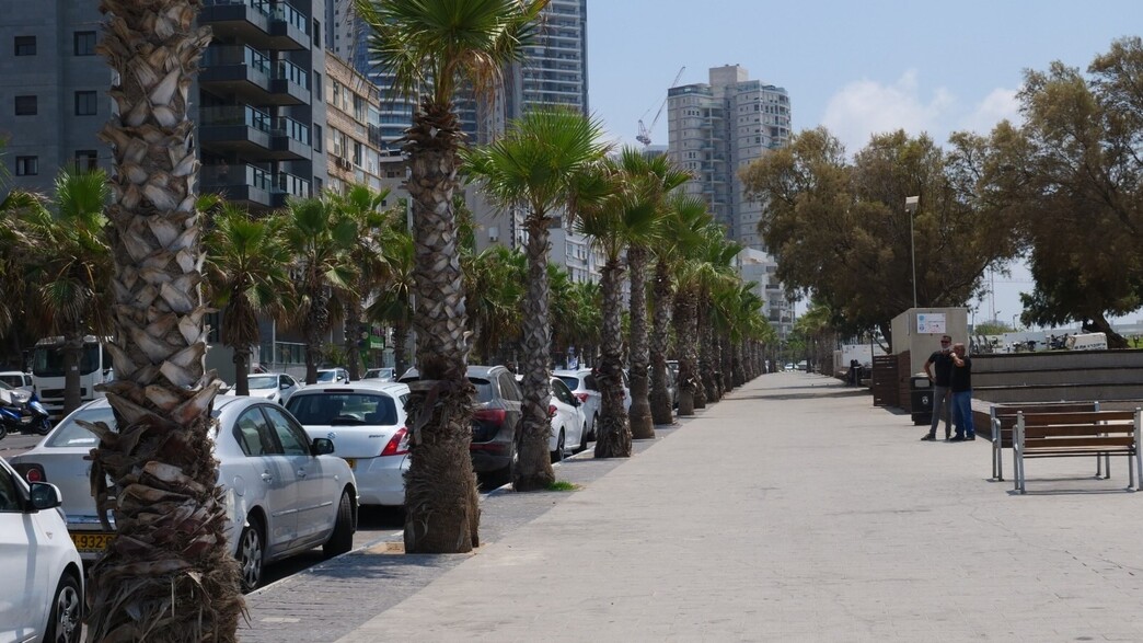 טיילת בת ים