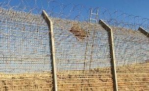 סולם על גדר הגבול עם מצרים שבאמצעותו הבריחו סמים  (צילום: דובר צה"ל)