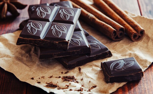 שוקולד מריר (צילום: elena leya, unsplash)