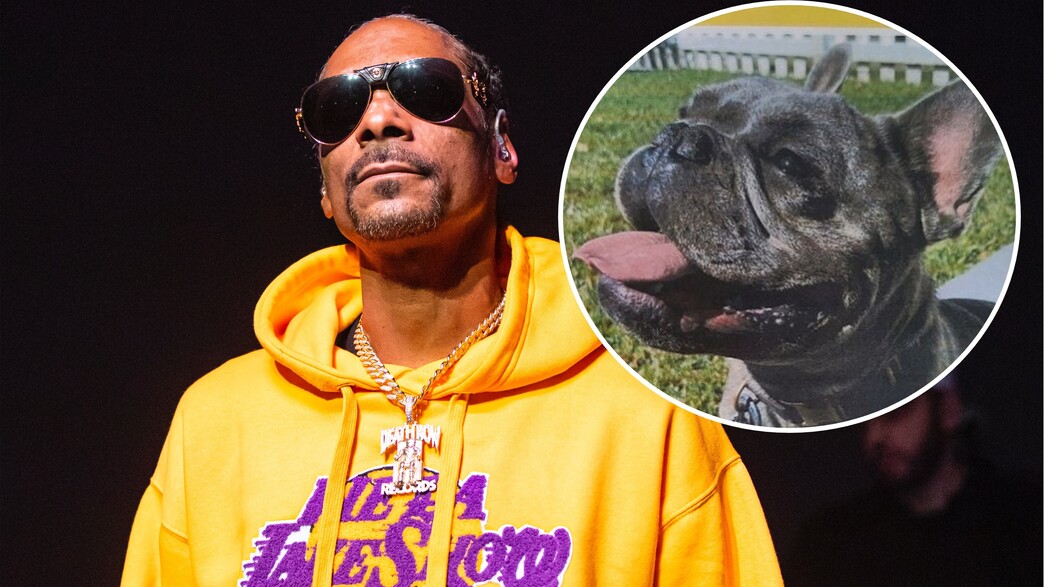 סנופ דוג והכלב סנופ דוג והכלב