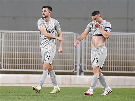 דין דוד ונטע לביא. השערים שלהם עשו את ההבדל (אלן שיבר)