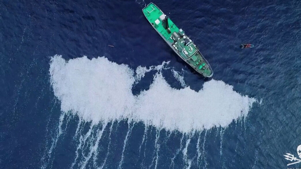 100,000 דגים מתים נשפכו לאוקיינוס האטלנטי