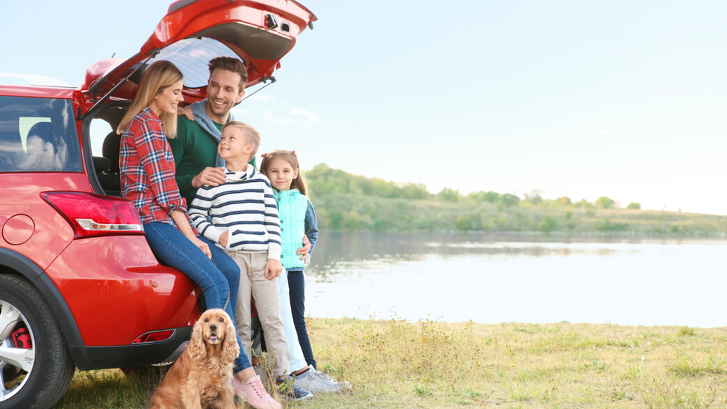 משפחה וכלב מציצים מחלונות מכונית משפחתית