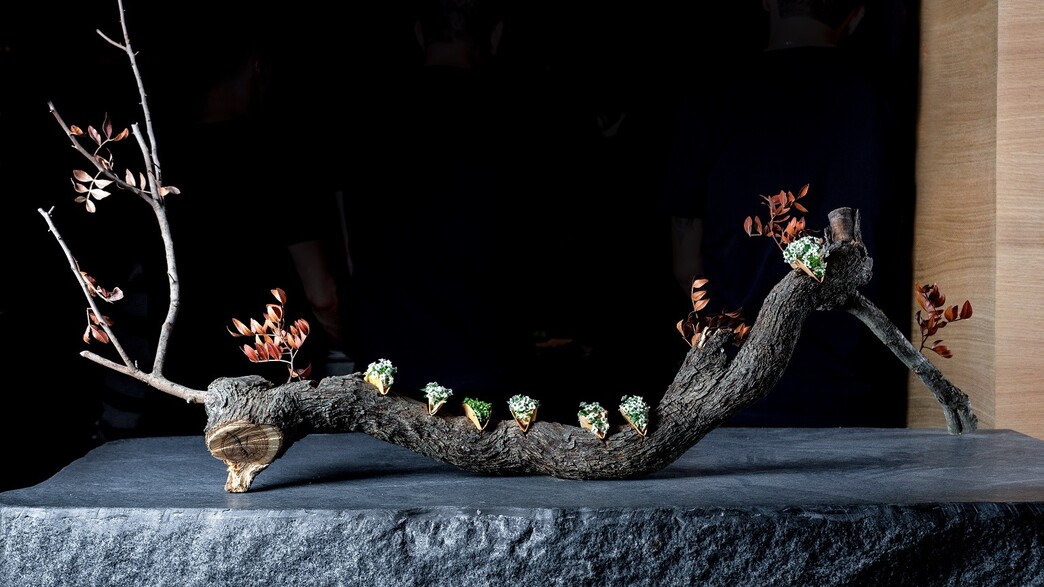 היבה. מנות הפתיחה