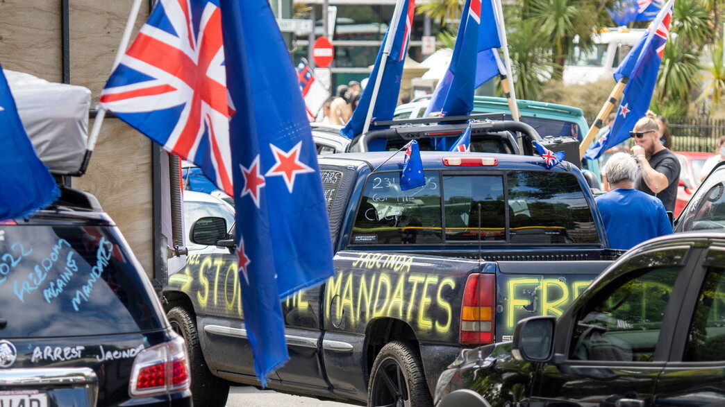 מפגינים בניו זילנד