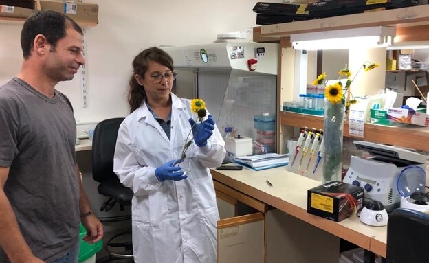 ד"ר שריאל היבנר ודנה סיסו במעבדה במכון המחקר מיגל (צילום: N12)