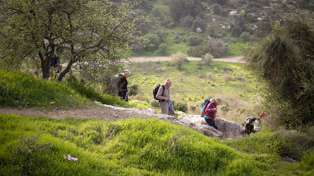 מזג האוויר מתבהר מזג האוויר מתבהר