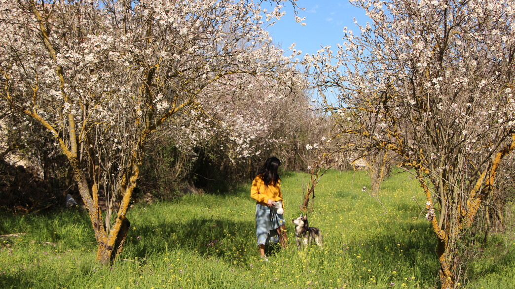 מזג האוויר מתבהר מזג האוויר מתבהר