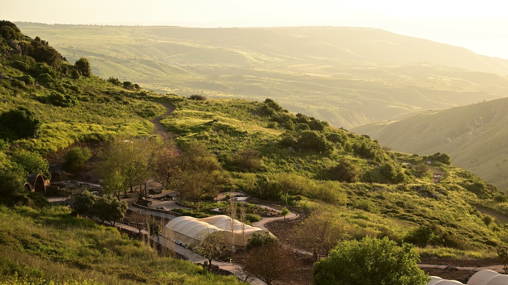 בפנים הארץ ובהרים צפויה ירידה בטמפרטורות
