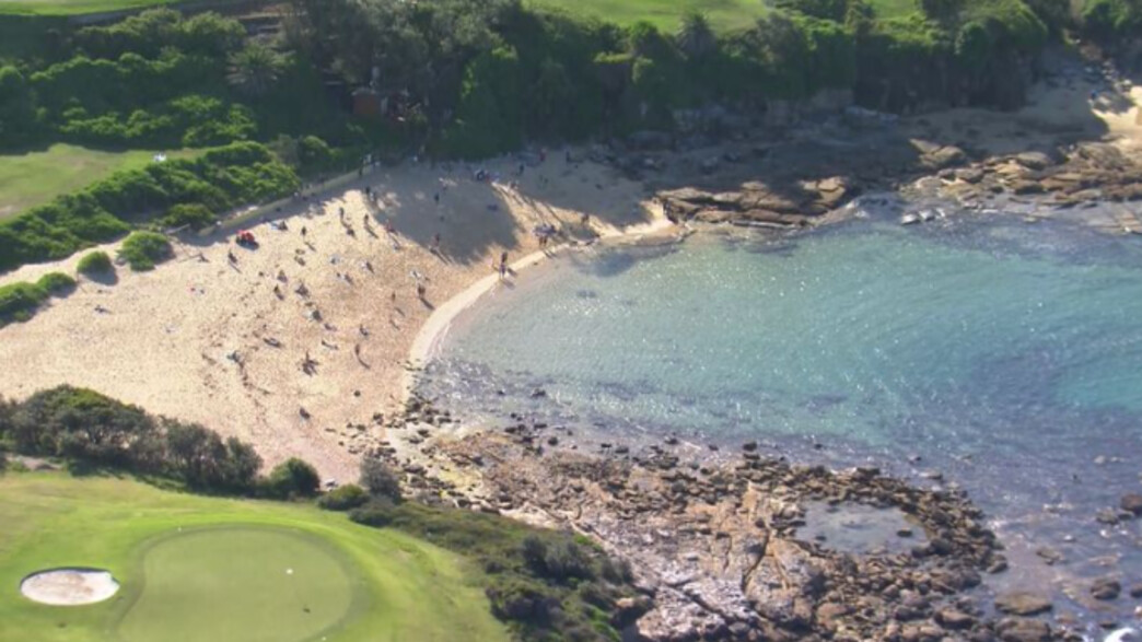 שרידי אדם נמצאו לאחר חשד לתקיפת כרישים שרידי אדם נמצאו לאחר חשד לתקיפת כרישים