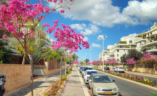 רחוב חושן בנס ציונה (צילום: verbaska, shutterstock)