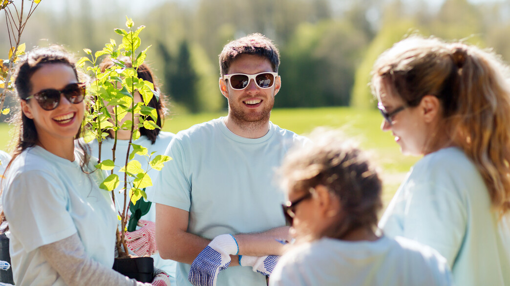 מתנדבים מתנדבים