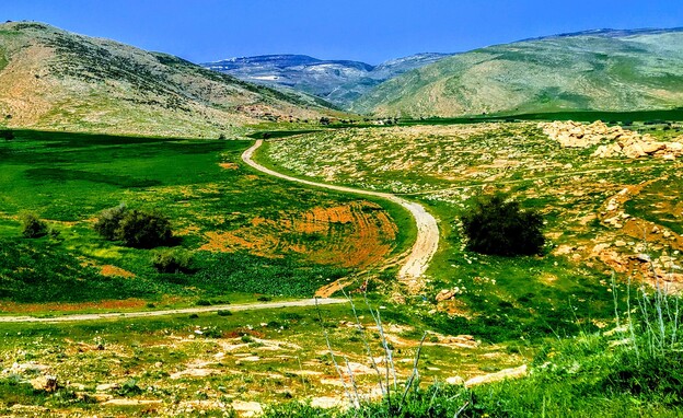 פסטיבל בקעה ירוקה פסטיבל בקעה ירוקה