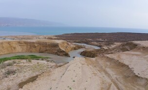 צעדת ראשוני ים המלח (צילום:  יוחאי חדד )