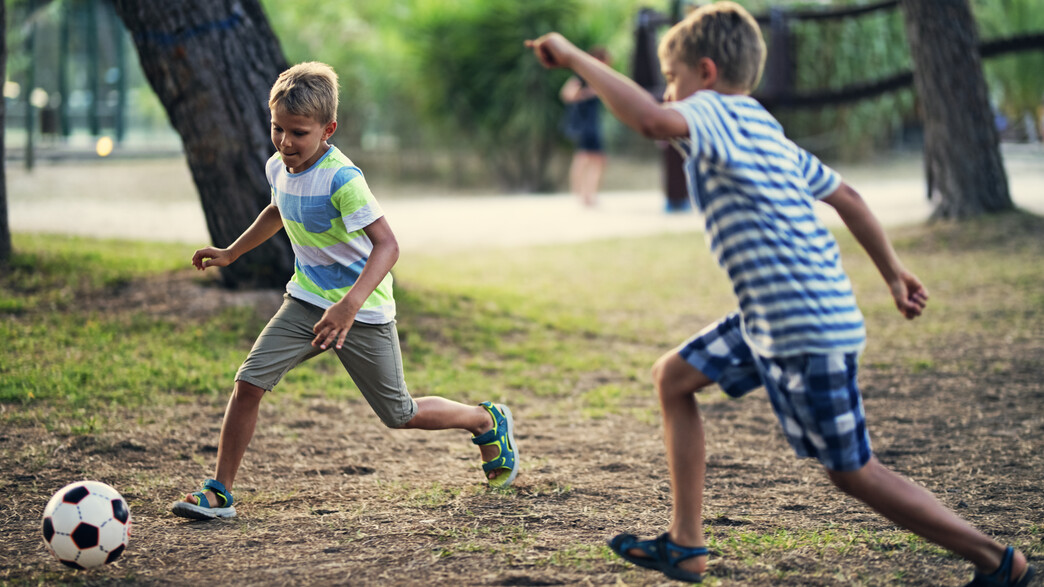 זוג ילדים מהגב זוג ילדים מהגב