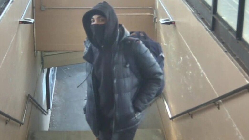 ציון בראון - שודד ברכבת התחתית