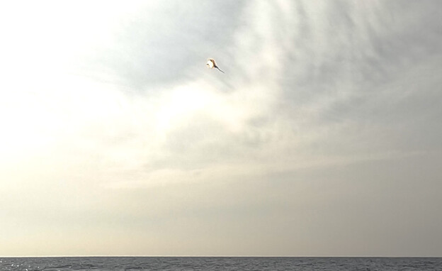 יירוטים ראשונים של "כיפת מגן" ימית מספינת סער 6 (צילום: משרד הביטחון)