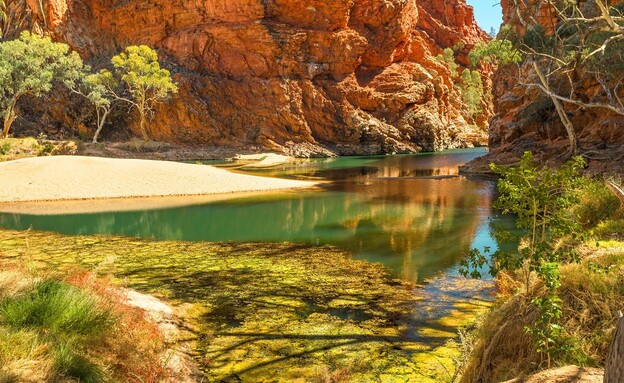 West MacDonnell National Park (צילום: Benny Marty, shutterstock)