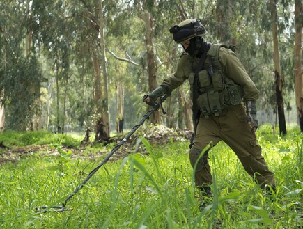 פינוי מוקשים ברמת הגולן על ידי חיילי הנדסה קרבית (צילום: דובר צה