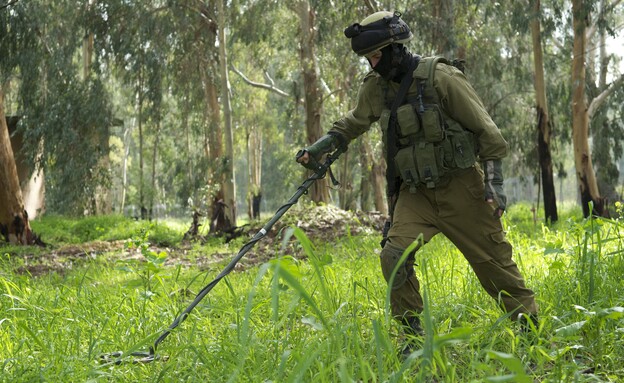 פינוי מוקשים ברמת הגולן על ידי חיילי הנדסה קרבית (צילום: דובר צה