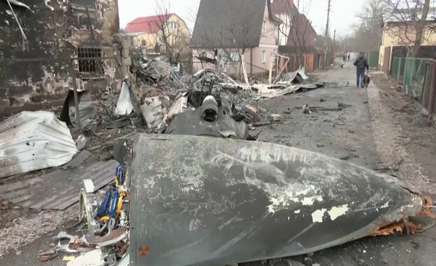 מטוס רוסי שהתרסק באזור קייב (צילום: רויטרס)