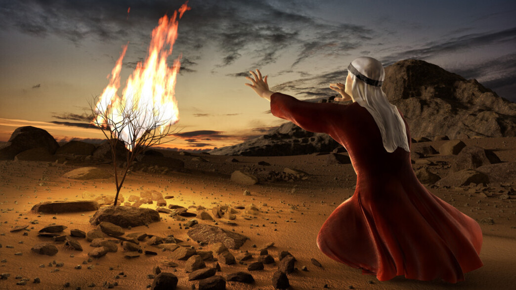 חידון פלייבאזז 929 