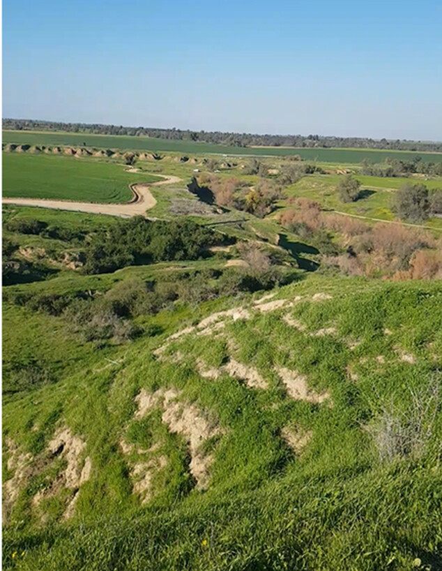 תל גמה (צילום: דניאל ארזי)