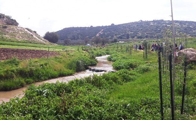 מה הלוז – 2.3 - משפחה -טיילת נחל ציפורי באזור טחנת הנזירים