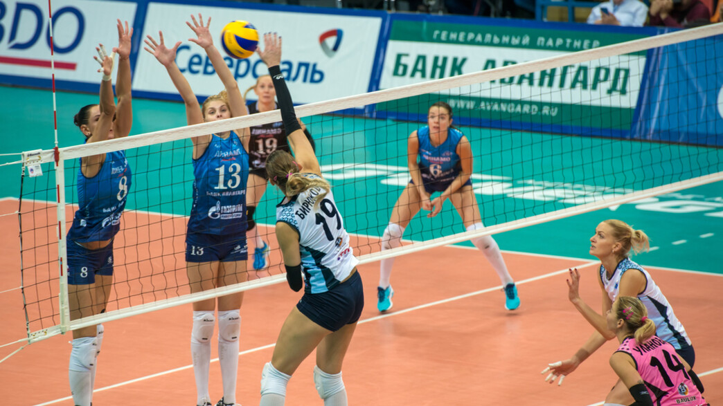 כדורשת אילוסטרציה כדורשת אילוסטרציה